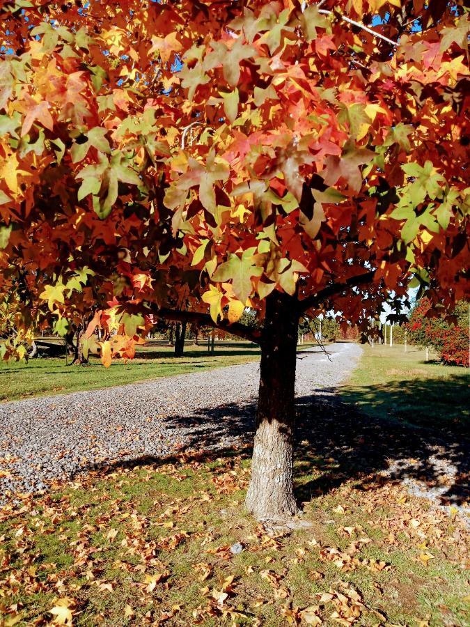 Casa De Campo Liquidambar San Pedro  Exteriér fotografie
